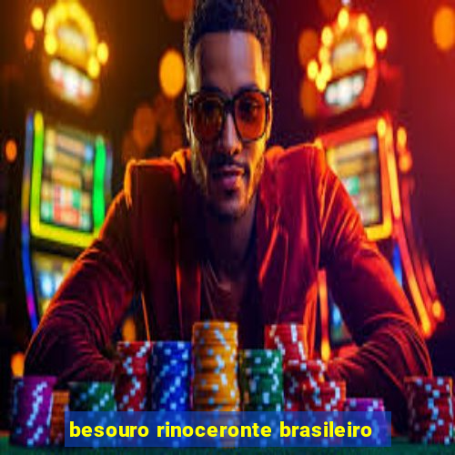 besouro rinoceronte brasileiro